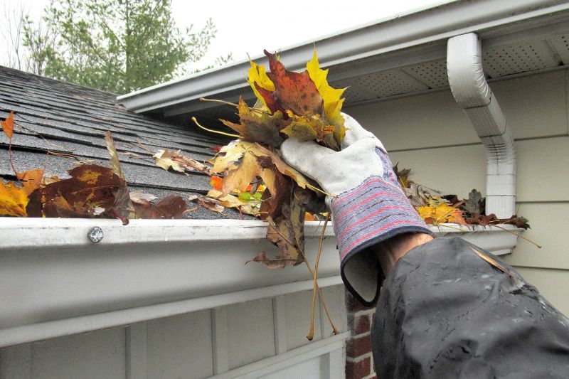 Roof Replacement in Fall
